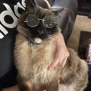 Meet your Posher, Angelica